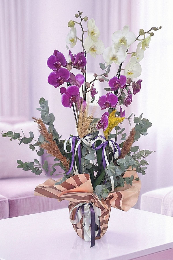 Mor ve Beyaz Orkide Tasarımı