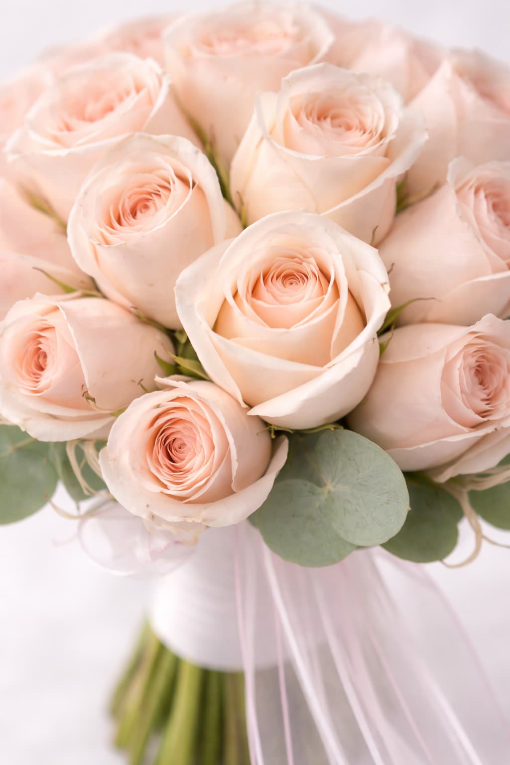 Pastel Rüya Somon ve Pudra Gül Gelin Buketi