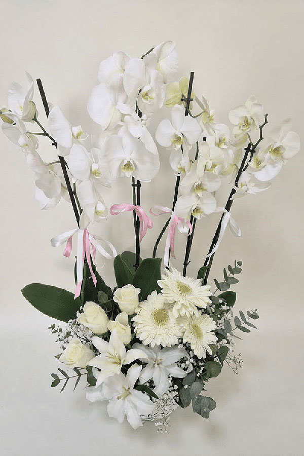 Beyazın Asaleti Orkide, Gül ve Lilyum Bahçesi