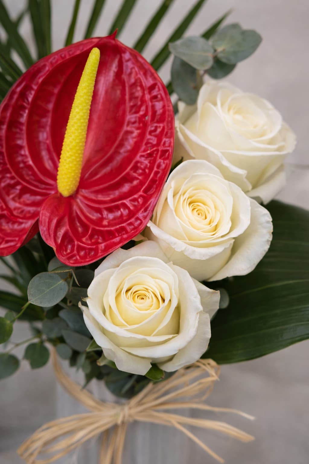 Egzotik Zarafet Antoryum ve Beyaz Gül Aranjmanı