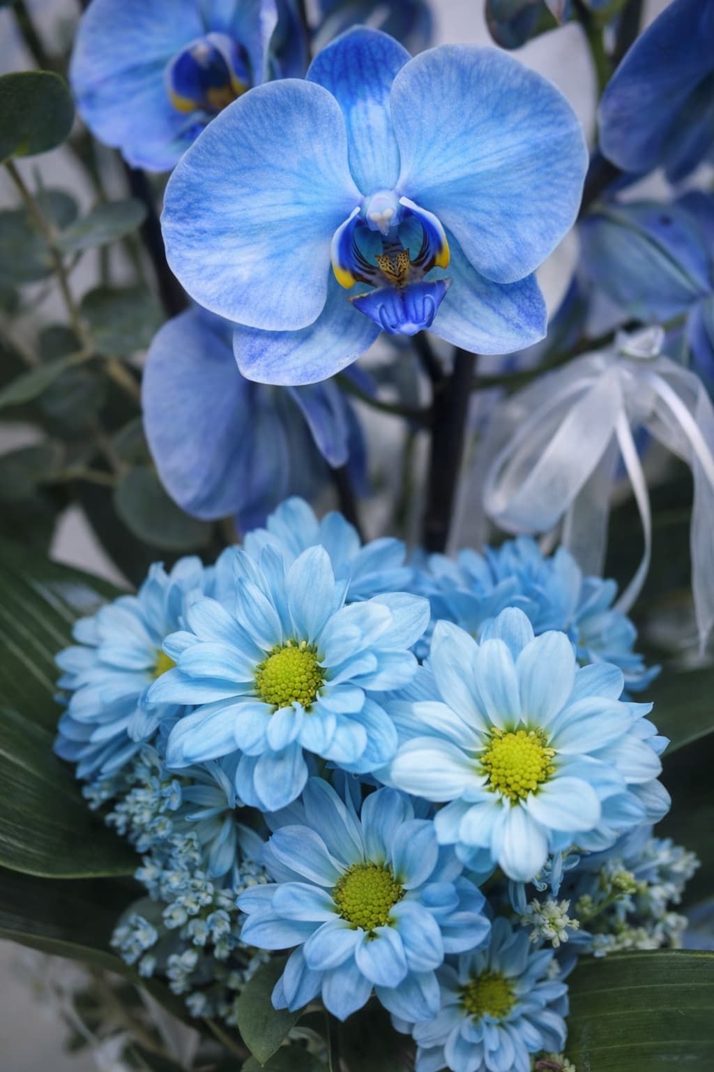 Okyanus Rüyası Ayaklı Vazoda 4 Dallı Mavi Orkide