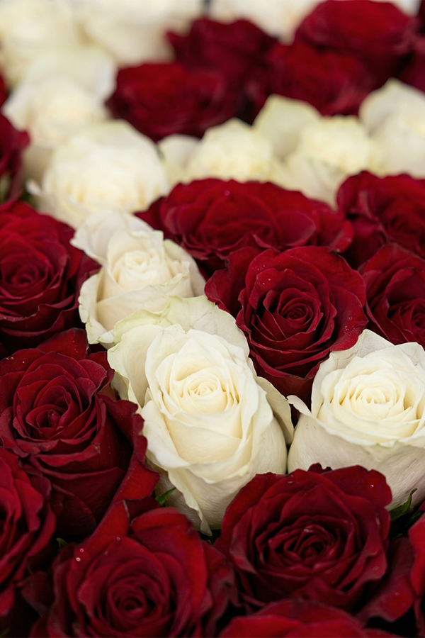 Aşka Özel Kalp Kutuda Baş Harfli Kırmızı Gül Tasarımı