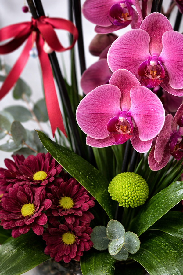 Şans Tılsımı Cam Fanusta Ateş Orkide